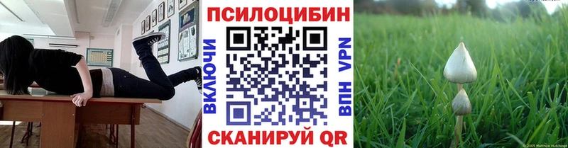 дарнет шоп  Асбест  Псилоцибиновые грибы мицелий 