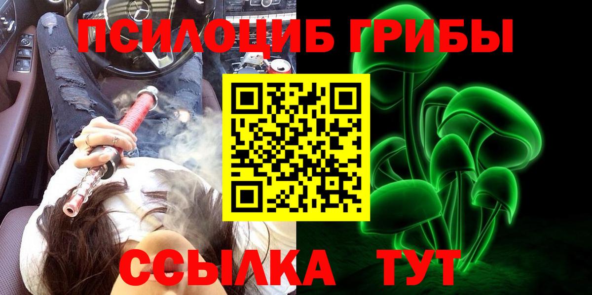 Асбест  Псилоцибиновые грибы мицелий  купить наркотики сайты  Вход с VPN  Псилоцибиновые грибы GOLDEN TEACHER 